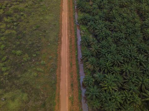 Aerial photo of a waterway, which some community members say has been polluted by mining activities near Lake Tiu in North Morowali, Indonesia.