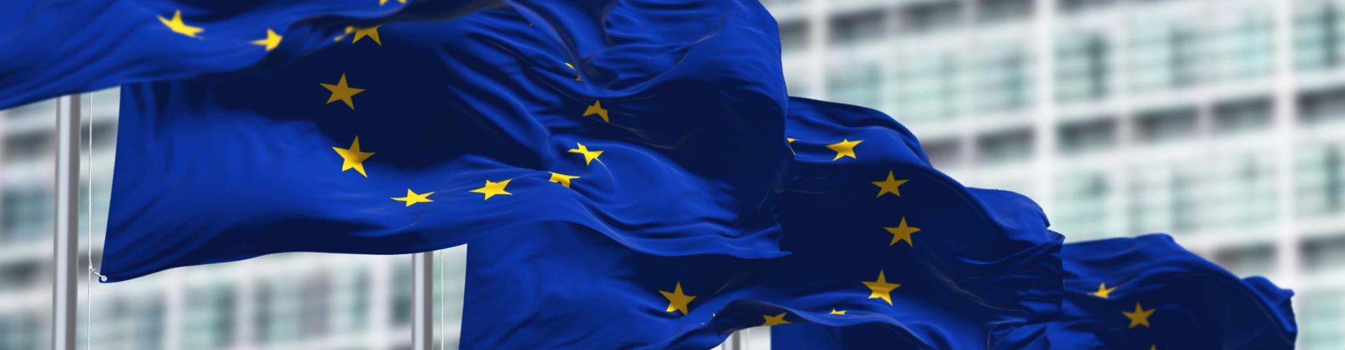 European Union flags