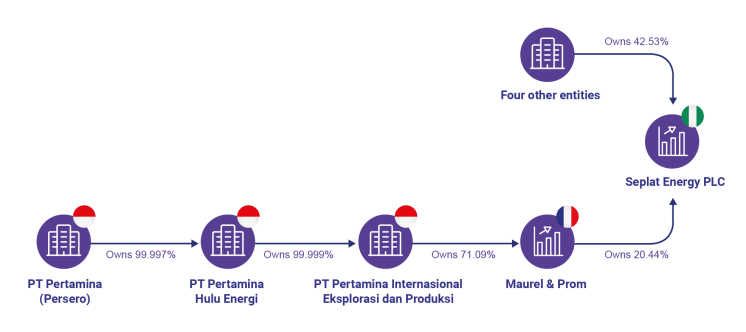 Graphic showing the ownership and control of Pertamina using structured data